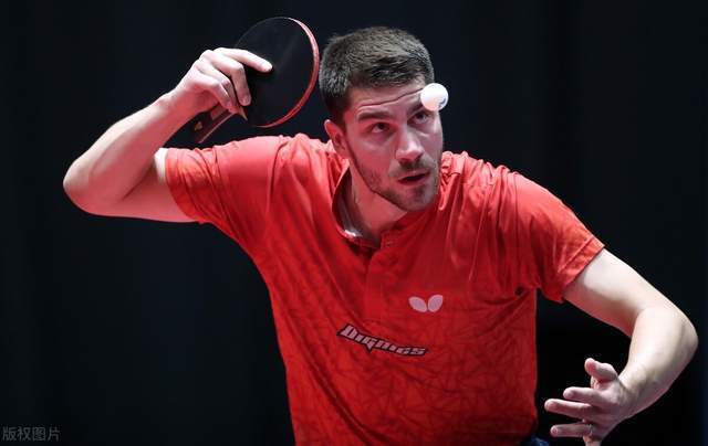 这句话不仅 这句话不仅