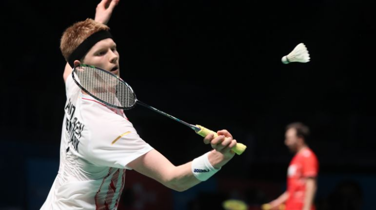 的活动中促 的活动中促